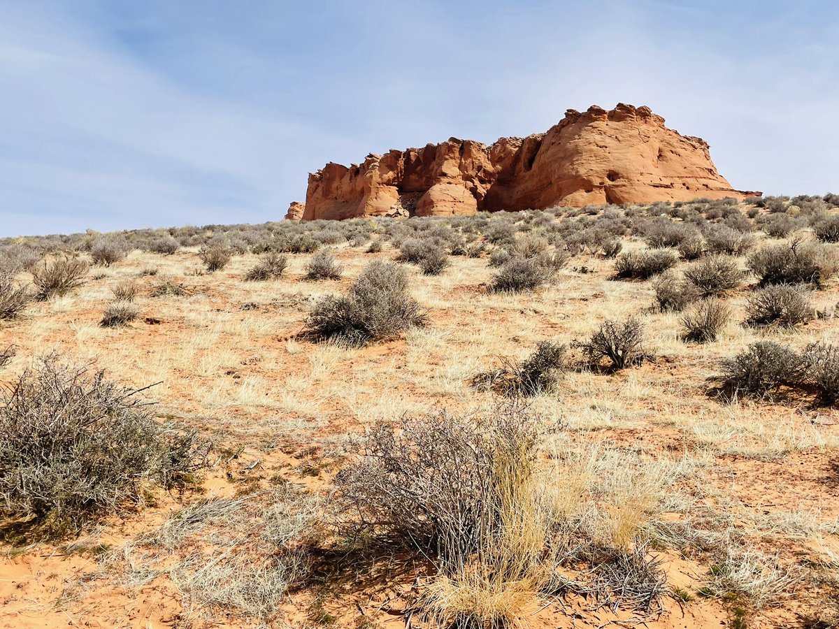 #Top4Theme this week is #Top4Rocks

 Tag the hosts: @intheolivegrov1 @LiveaMemory @obligatraveler @wandersmiles 

From my trip last month to Page, AZ, including Horseshoe Bend, Antelope Canyon & Toadstool Hoodoos.