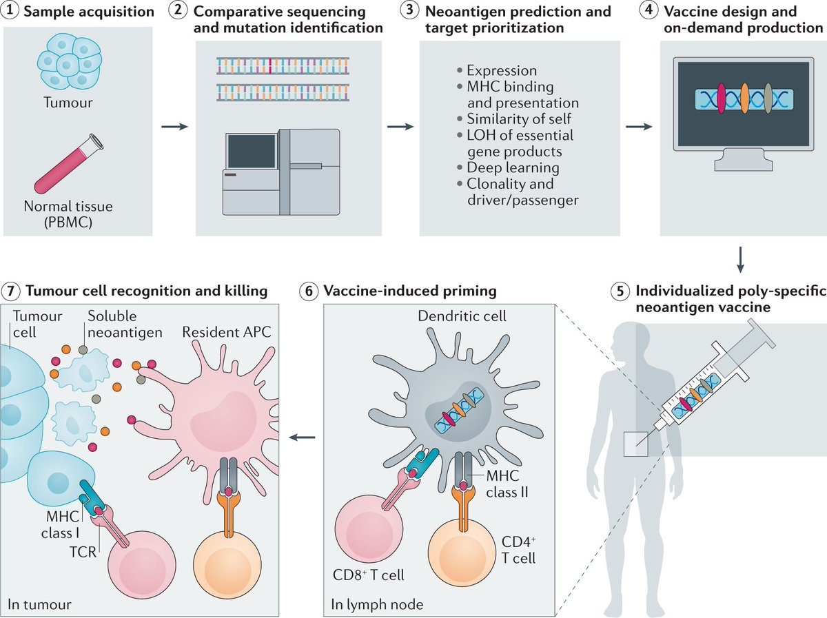 Nature Reviews Drug Discovery on Twitter "For readers interested in