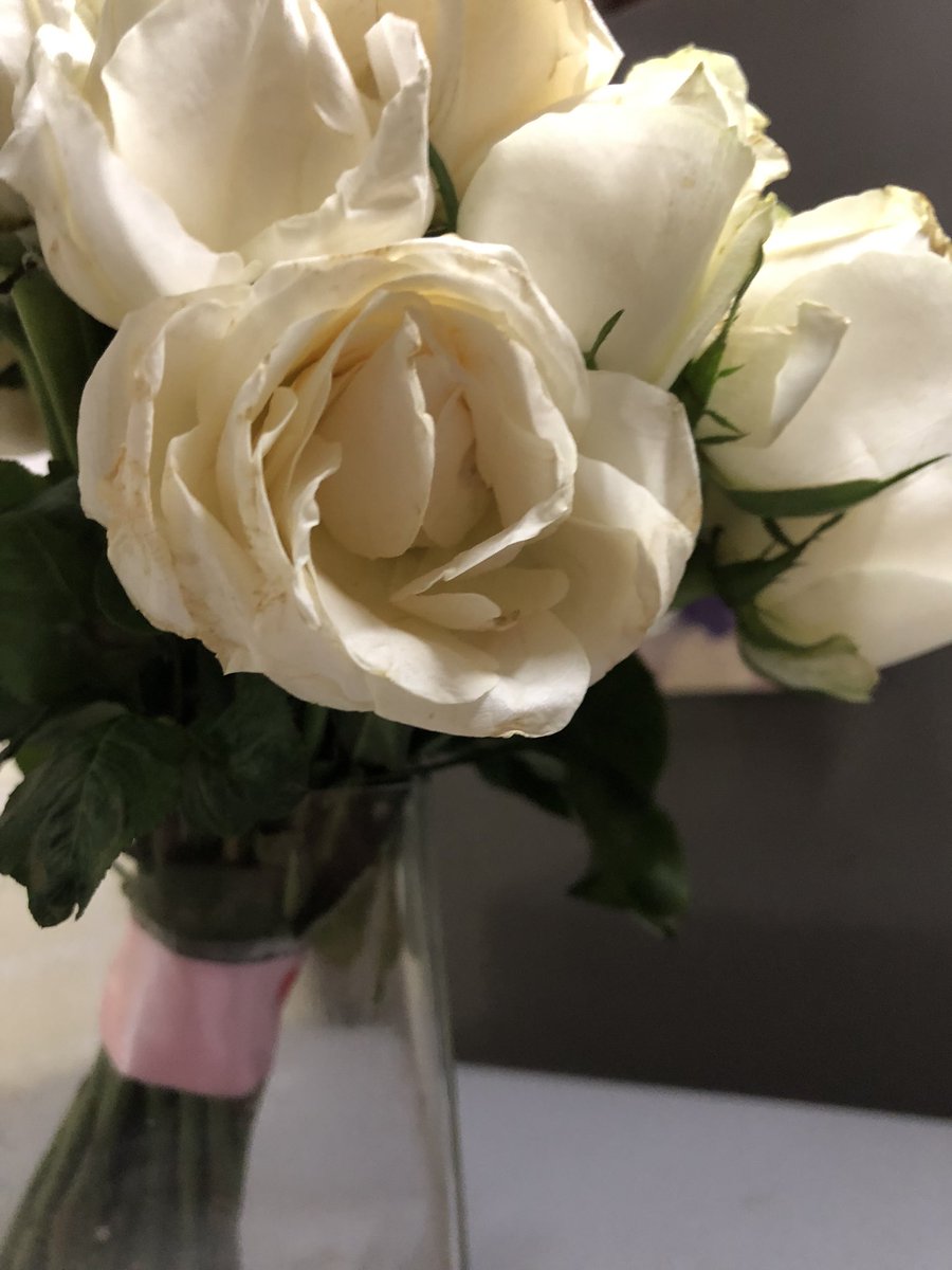 VinayMathews's tweet photo. @Floweraura @shreysehgal @Floweraura 
You have insulted me &amp; my mother. Pls refund my money for the dirty &amp; stale flowers sent to my mother. Order Id: 7125355 https://t.co/KJwaPlryKI
