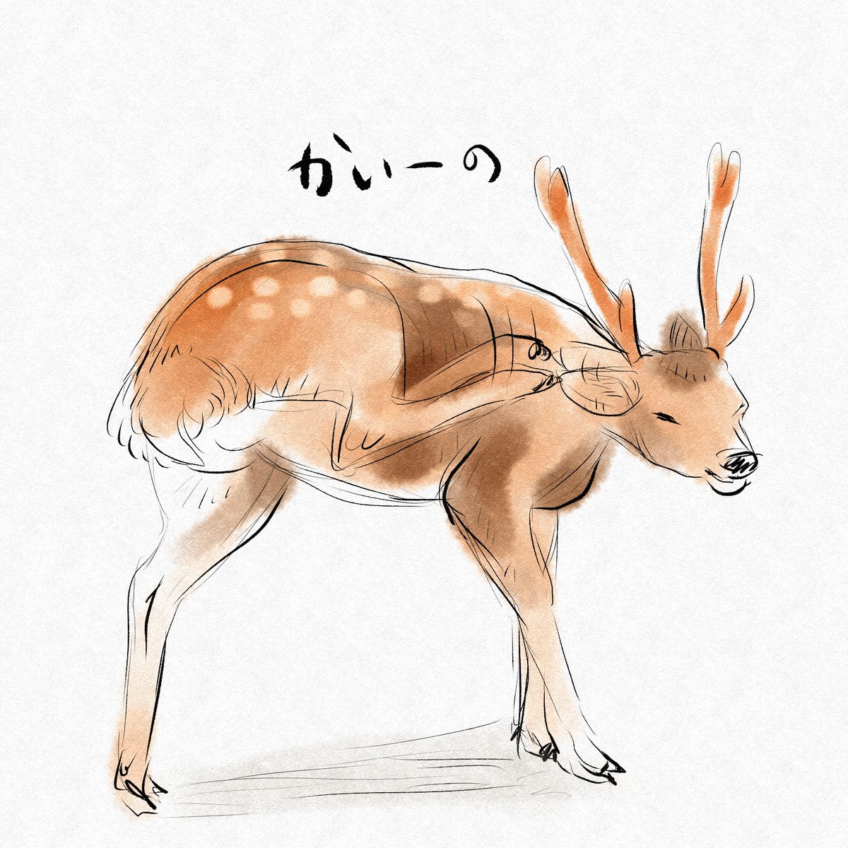 「夜のラフスケッチ」|ヨシノマホ🦌奈良クリエイターのイラスト