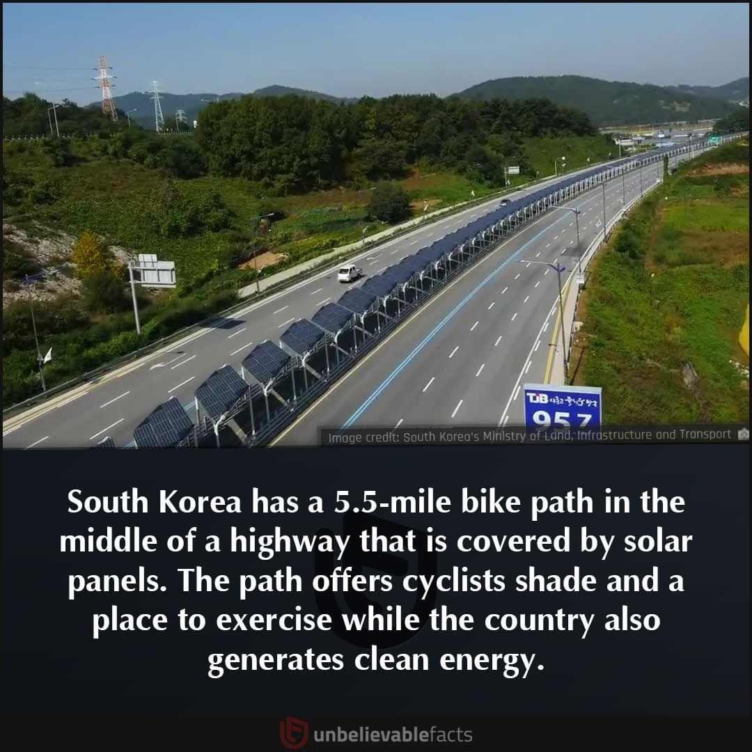RohanIlwadi's tweet photo. Much needed in India as bike people on highways are always a risk for larger vehicles.With dedicated lane with shade they will use it  reducing accidents and also producing green energy @nitin_gadkari @pragatikahighway https://t.co/8HkRu3GyBa