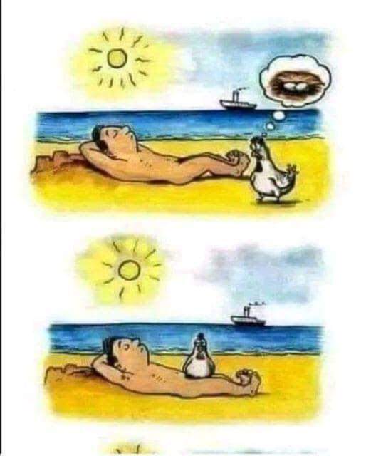 Feliz día para todos 😂🤣
Me hizo el día