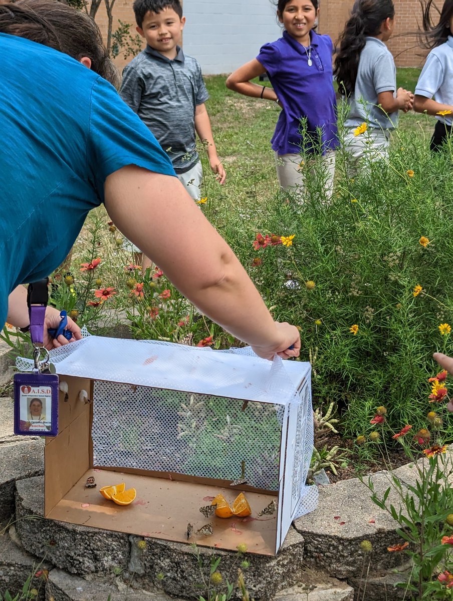 Rodriguez Elementary tweet media