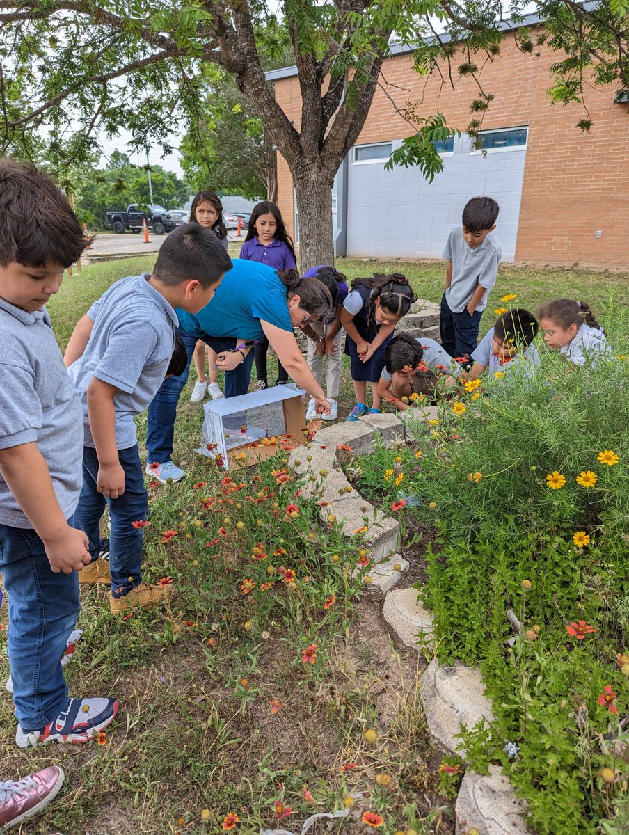 Rodriguez Elementary tweet media