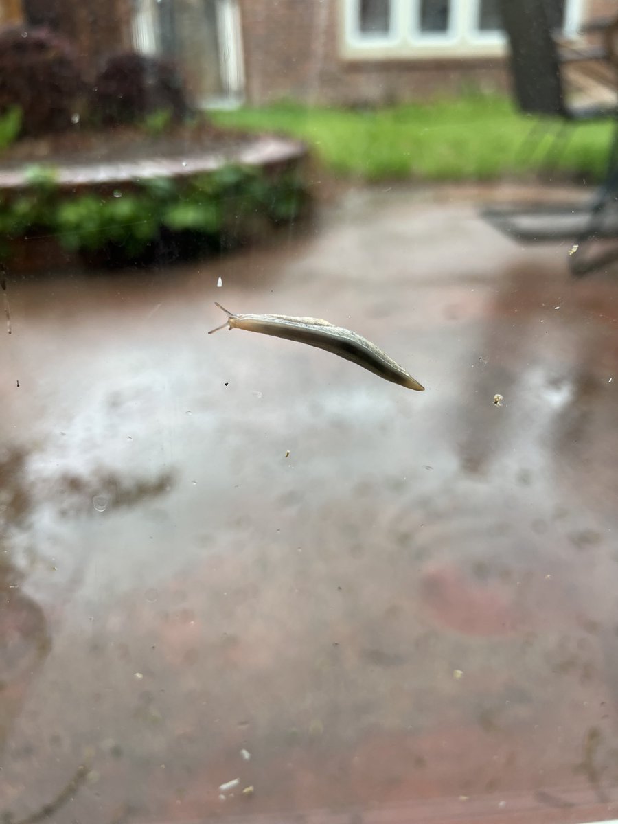 Jso7151's tweet image. Just sluggin through Monday