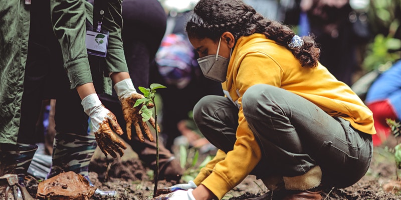 During #MentalHealthAwarenessWeek, it's important to highlight the impact of #climatechange on #mentalhealth. Our <a href="/ClimateCares/">Climate Cares</a> research shows it can exacerbate mental distress, particularly among young people. 

Read our briefing paper for more info 📑 imperial.ac.uk/grantham/publi…