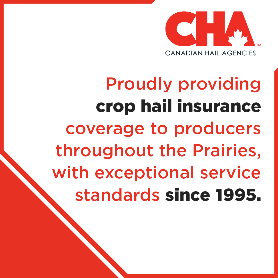 canhailagencies's tweet photo. Hello Canadian Prairies, please allow us to reintroduce ourselves 🤝
 
 Our 2023 rates will be available soon so please reach out to your broker later this month to start placing coverage on your crops. We’ll make sure to post here as soon as rates are released! https://t.co/1IzyFcu3xY