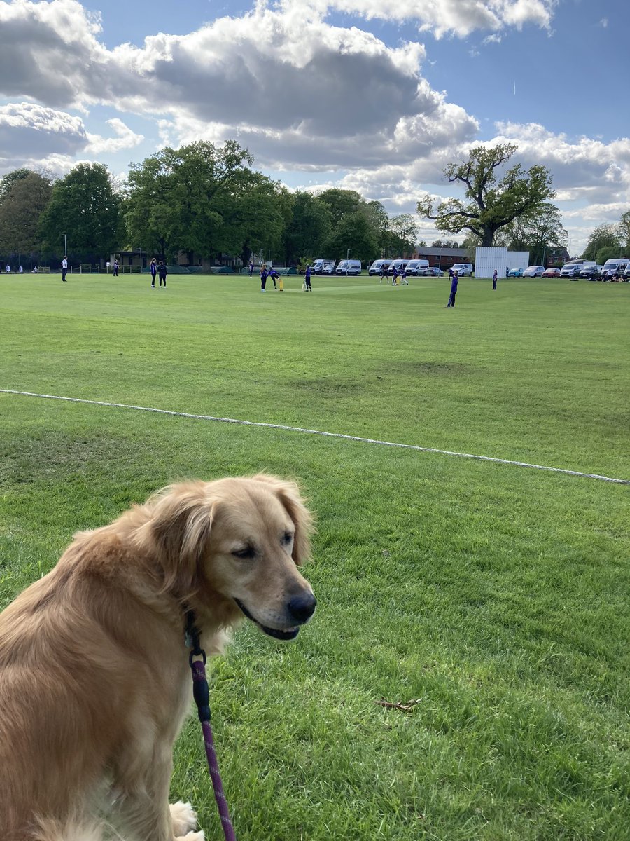 CollingwoodHouse tweet media