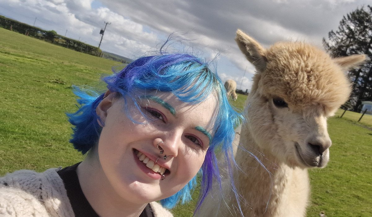 catgirldjh's tweet photo. rawr xd so random lolzors #alpacasquad https://t.co/V1XiLva5nK