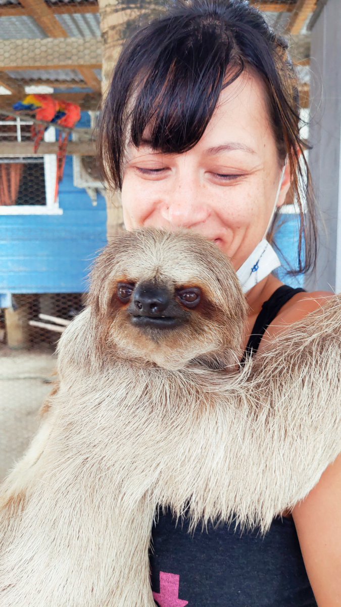SUPER STOKED TO ANNOUNCE I'M NOW REPPED BY @SAMBFARKAS at <a href="/JILLGRINBERGLIT/">Jill Grinberg Literary</a> 
YES I AM SCREAMING.
SLOTH 🦥 HUG LEVEL EXCITE Y'ALL