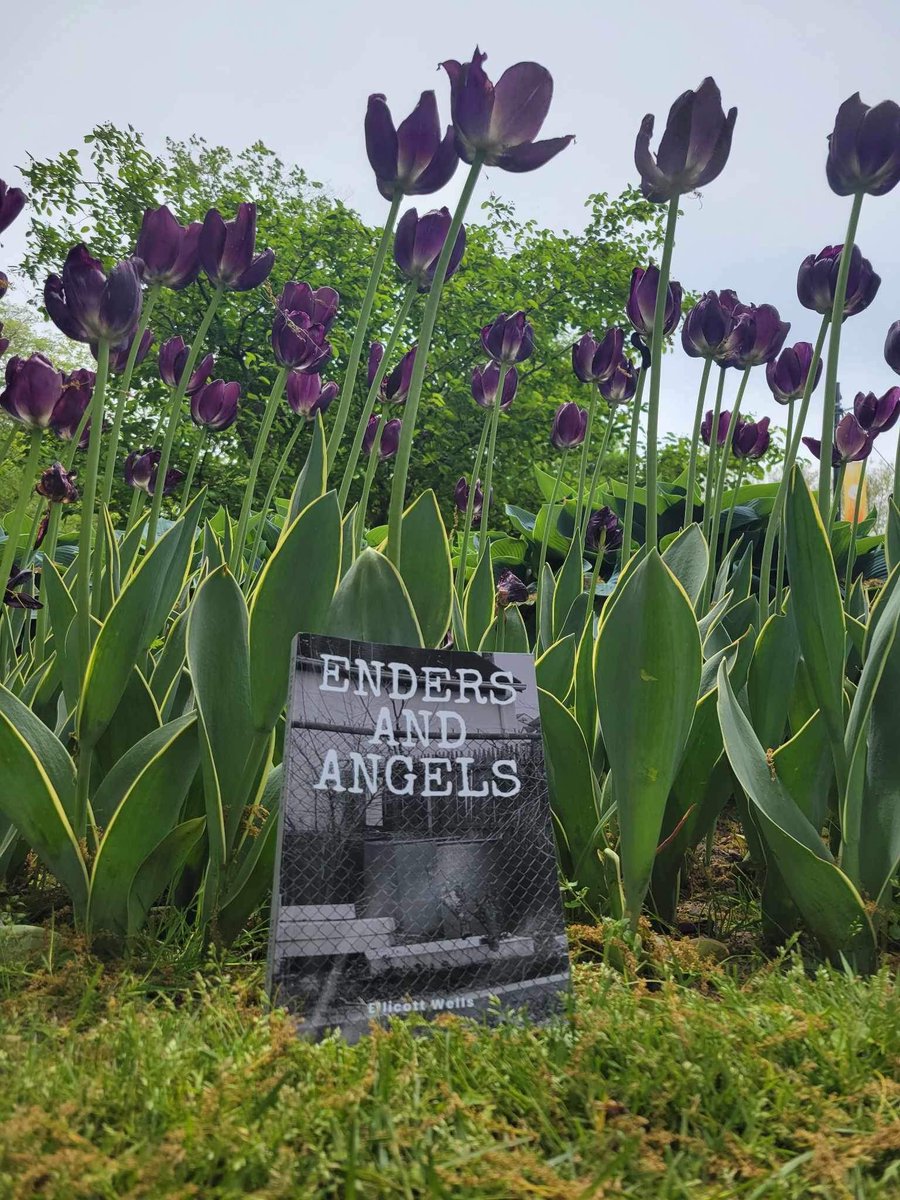 #endersandangels in the wild! Today, we’re tiptoeing through the tulips in Holland, MI. #readabook #stopandsmelltheflowers #buyindie