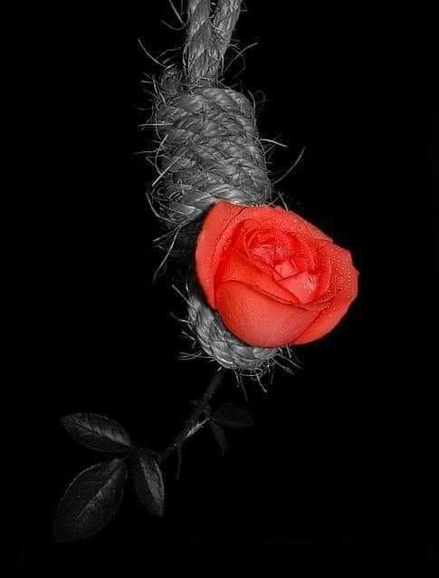Sidi_yhy's tweet photo. نحْن لا نمُوت حِين تُفارِقنا الرُّوح وَحسب, نمُوت قبْل ذلك حين تتَشَابه ��يَّامنا ونتوقَّف عن التّغيير .. حِين لا يَزْداد شيءٌ سِوى أعْمارنا وأوْزانِنا. https://t.co/l5Jdx6N2lZ