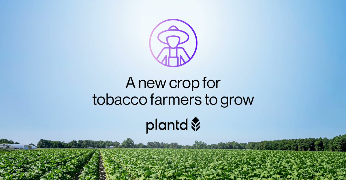 Tobacco farmers are searching for high value alternatives to replace the once cash crop. At Plantd, we are providing growers with the power to grow #carbonnegative perennial grass from the same fields that grew southern staples like tobacco.
