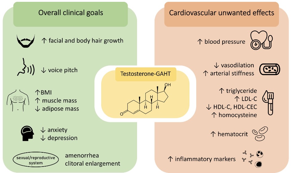 AJP-Heart and Circ (@ajpheartcirc) on Twitter photo #ArticlesInPress: The cardiovascular subtleties of testosterone on gender-affirming hormone therapy
Jeimison D. Santos, José T. Oliveira Neto, and Rita C. Tostes
ow.ly/ezib50OnP1Z
<a href="/Tosteslab/">The Tostes Lab</a> <a href="/jeimisonds/">Jeimison D Santos, PhD</a>
#hypertension #oxidativestress #ArticlesInPress: The cardiovascular subtleties of testosterone on gender-affirming hormone therapy
Jeimison D. Santos, José T. Oliveira Neto, and Rita C. Tostes
ow.ly/ezib50OnP1Z
<a href="/Tosteslab/">The Tostes Lab</a> <a href="/jeimisonds/">Jeimison D Santos, PhD</a>
#hypertension #oxidativestress