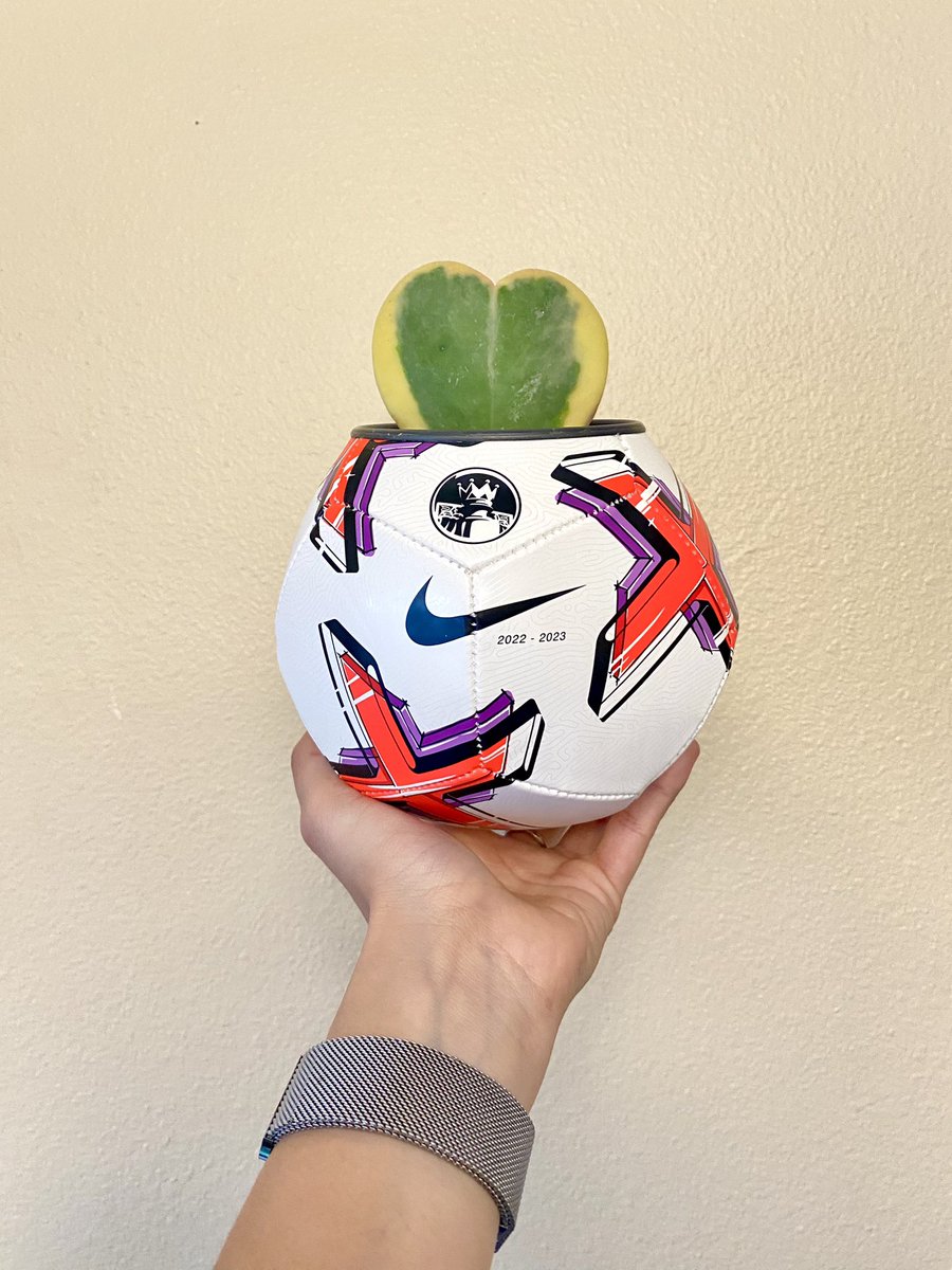 catcastillo_'s tweet photo. New planters up in the shop to add the perfect pop to your soccer lovin’ home. #thebeautofulgame 

~link in bio. https://t.co/DHE2ogOZ95