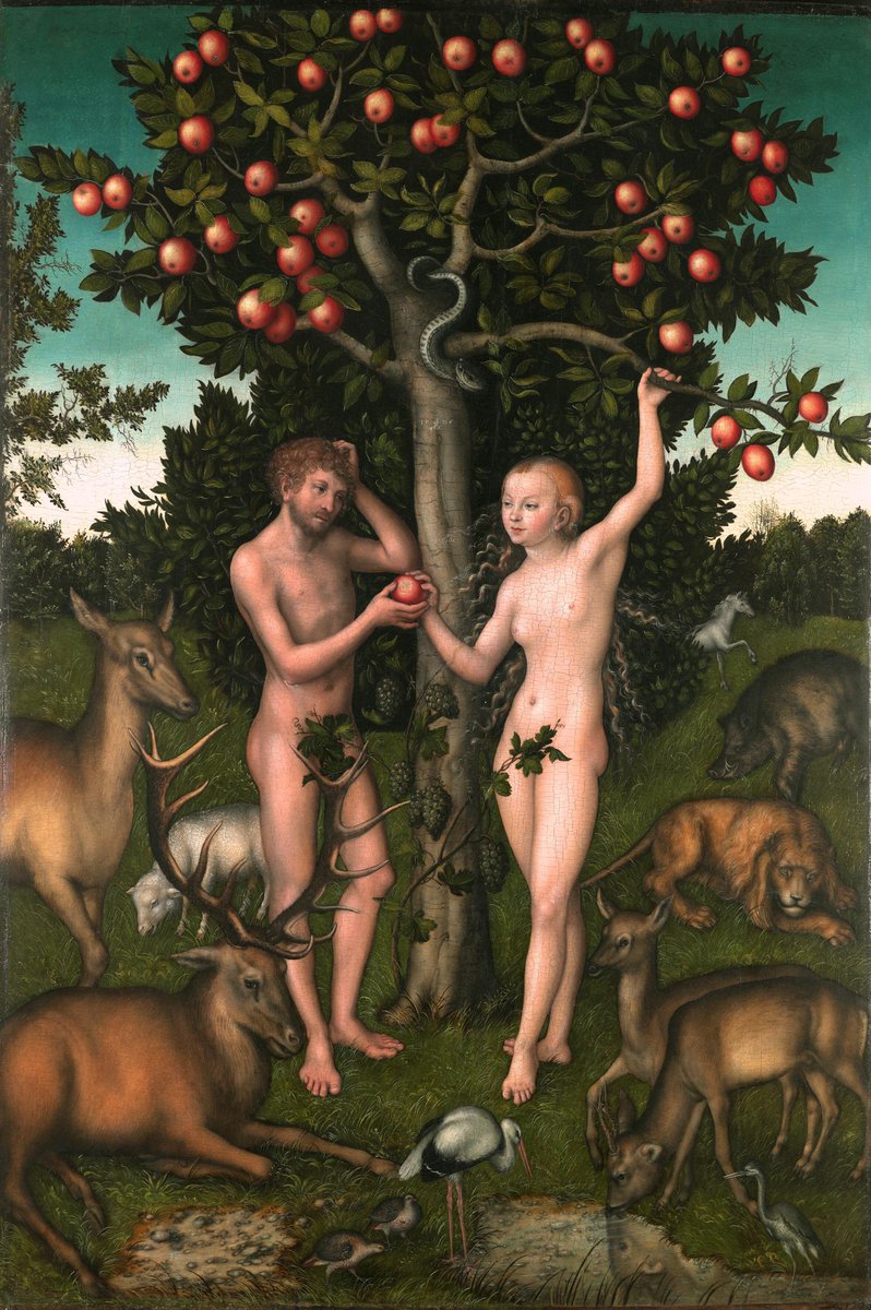 CaminoAquelarre's tweet photo. El pasaje mítico de Adán y Eva mordiendo la manzana del árbol prohibido es uno de los más conocidos del mundo. Sin embargo, es mucho lo que no sabemos sobre este mito y sus implicaciones... https://t.co/bgyk2BYsyj