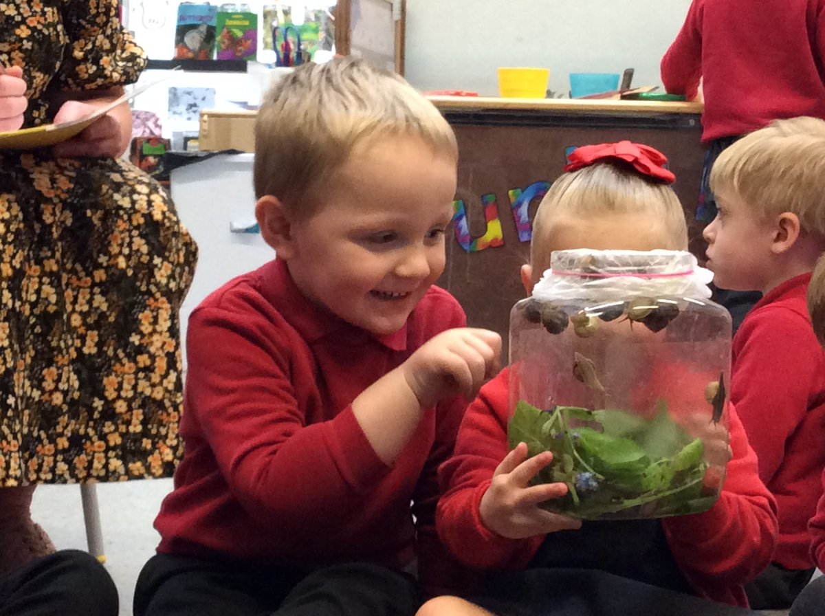 We have been taking a closer look at our snails. We had a lot to say and the questions the children asked were amazing. #Inquisitiveminds