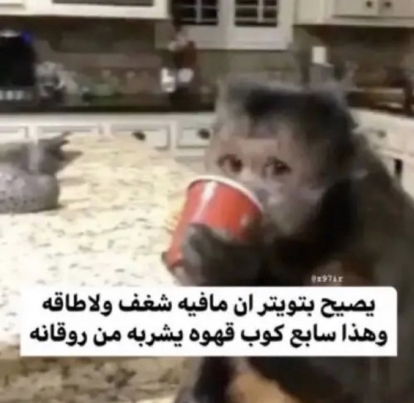 أحمد (@giov_tv) on Twitter photo 