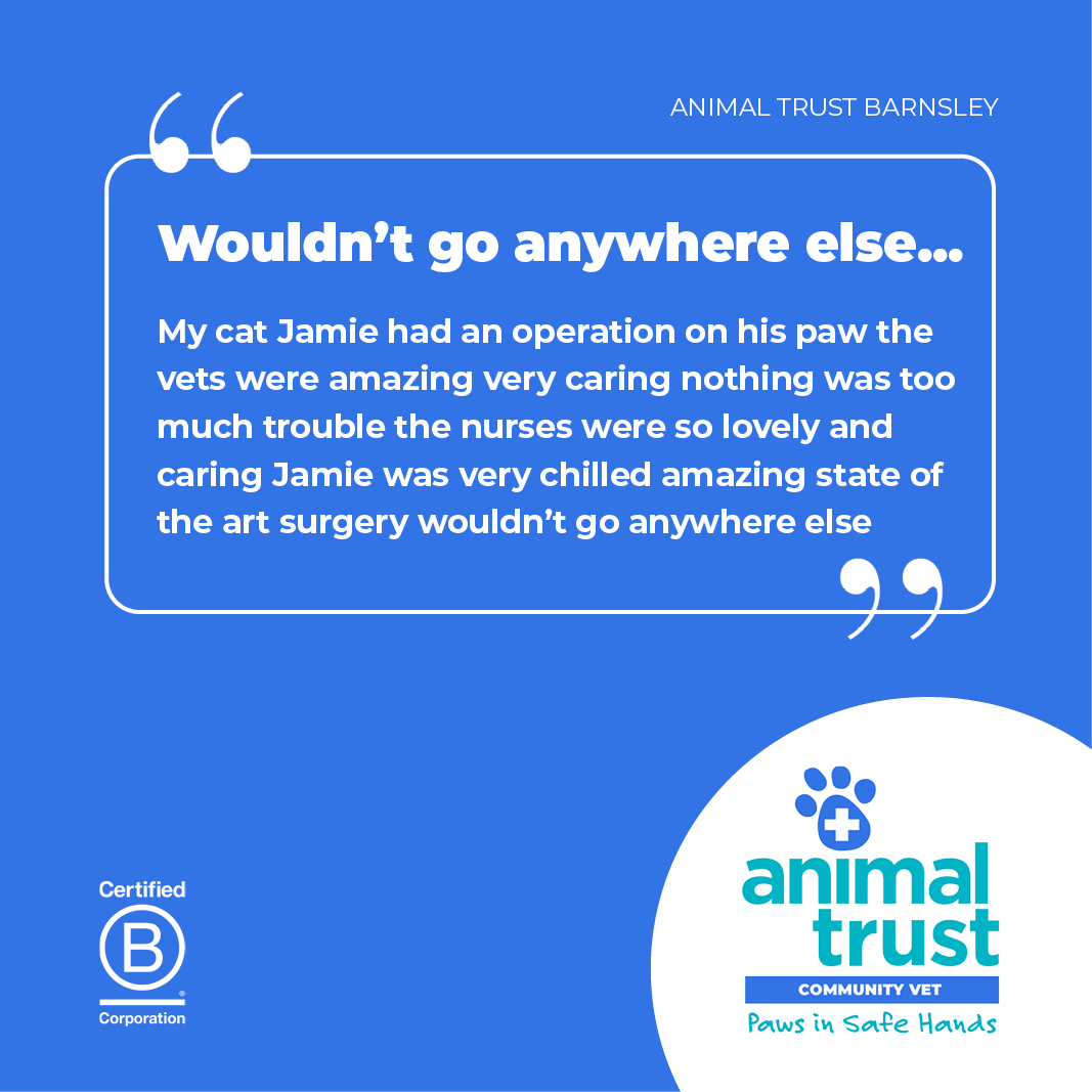 Animal Trust Vets tweet media