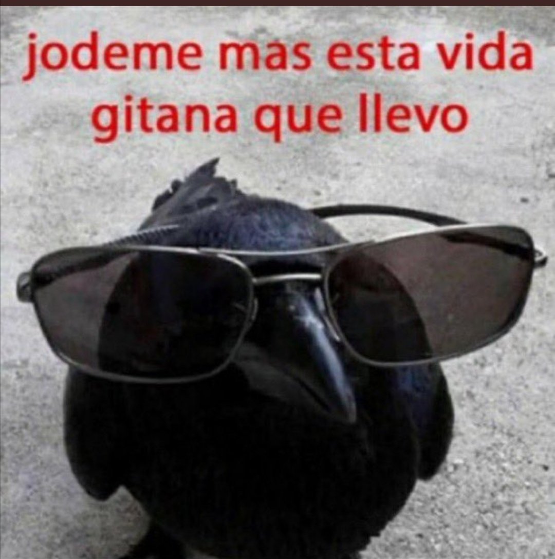 srpichi11's tweet photo. Macaben de trucar de foto llum, no ha sortit cap foto bona. https://t.co/TvNe70lU4j