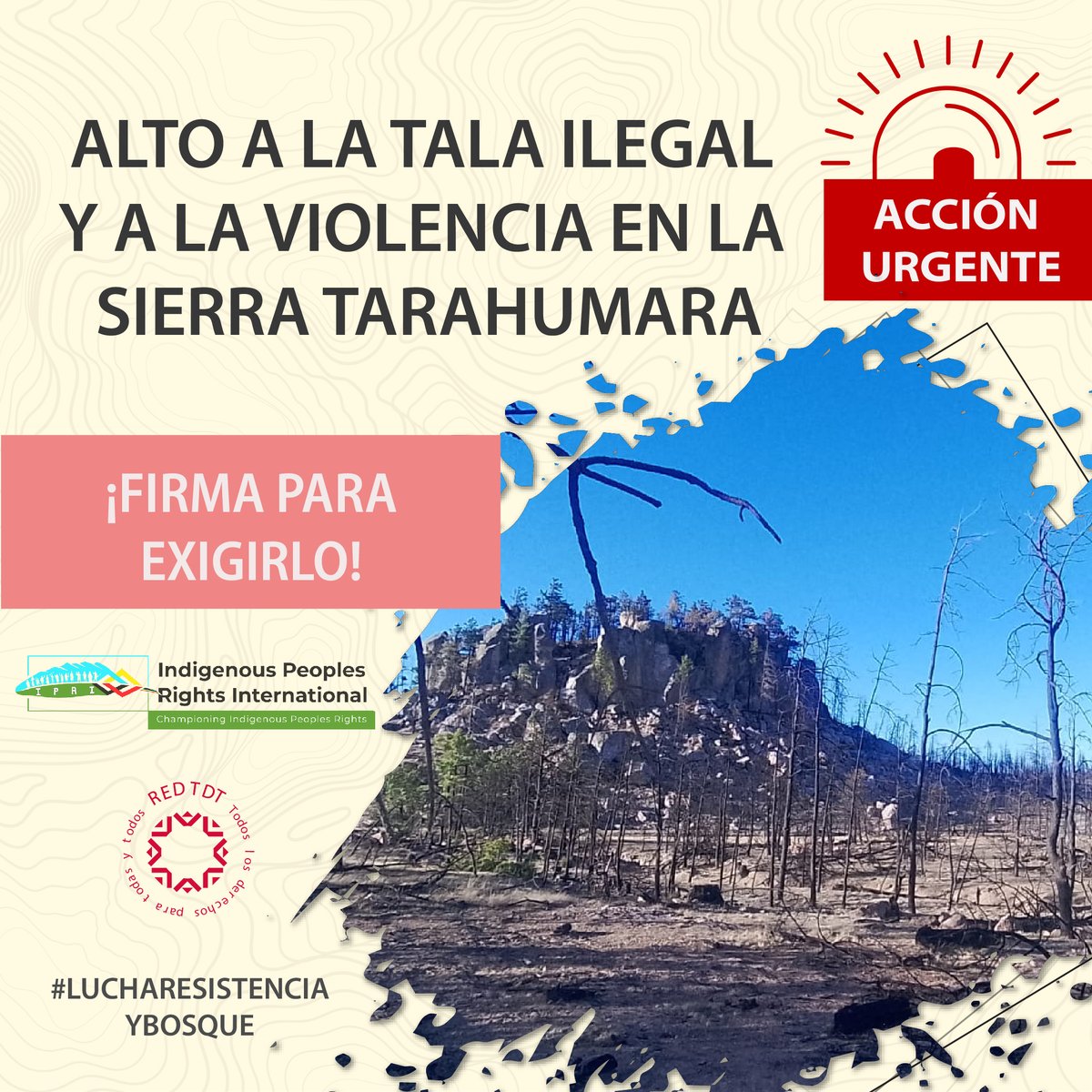 🚨#AcciónUrgente| Tu firma ayuda ✍️ ¡Súmate!

🔗➡️redtdt.org.mx/archivos/18273⬅️

Más que una Acción Urgente, este es un grito urgente para frenar la tala ilegal que desde 2015 provocó un aumento a los niveles de violencia en la Sierra Tarahumara.

✊✋🌳 #LuchaResistenciayBosque