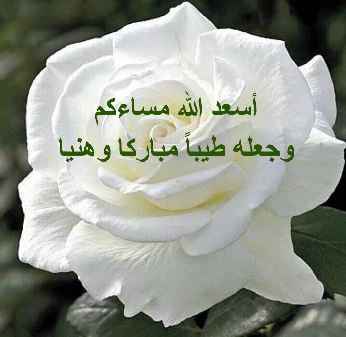 سبحان الله العظيم رب العالمين (@ypqk6q8vog5oezr) on Twitter photo 