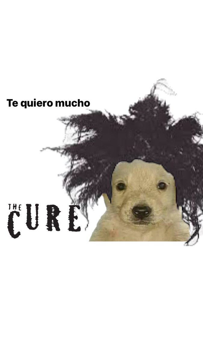 SOLVE ET COAGULA tweet media