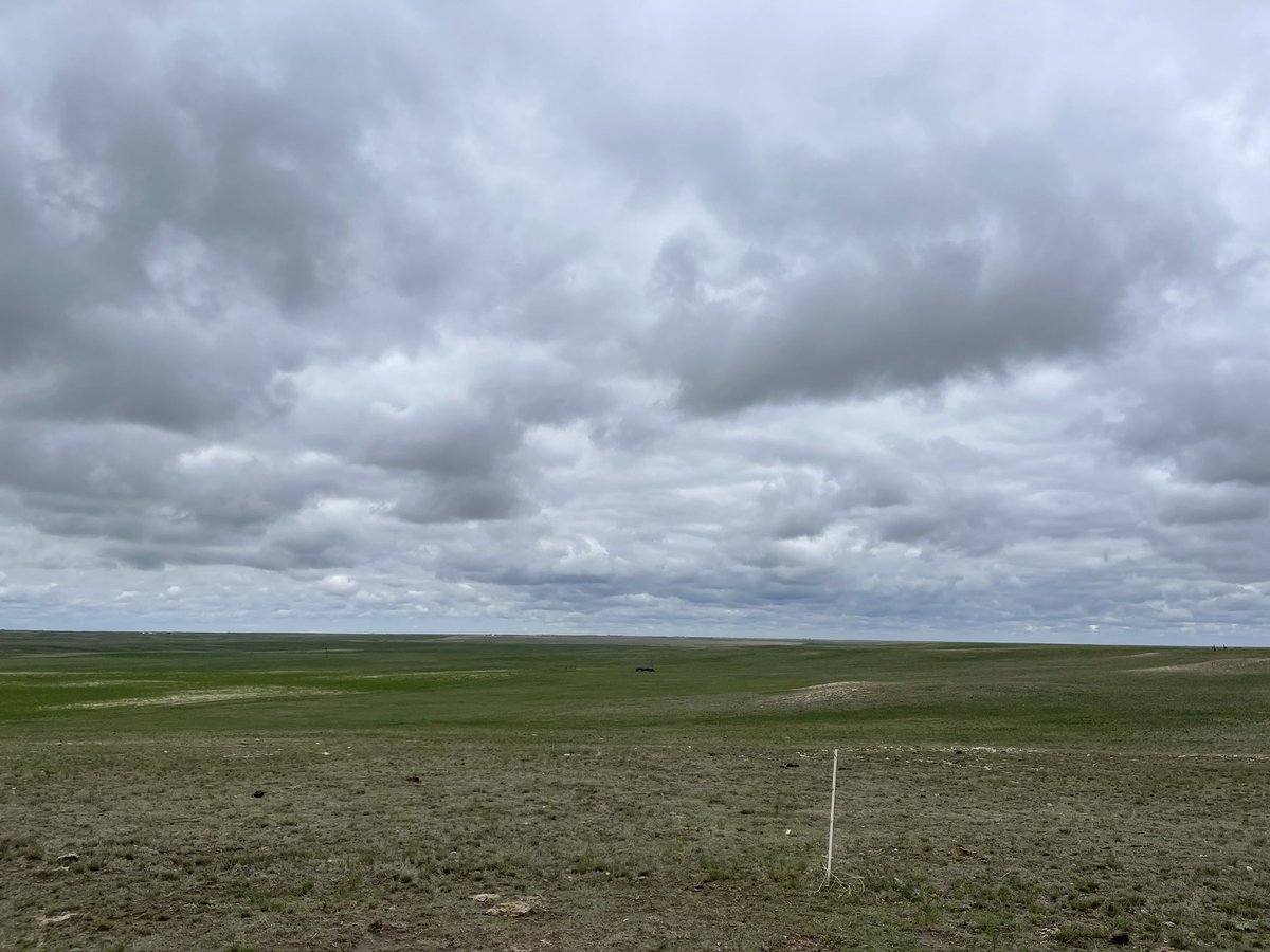 WKU Sto☈m Chase☈s tweet media