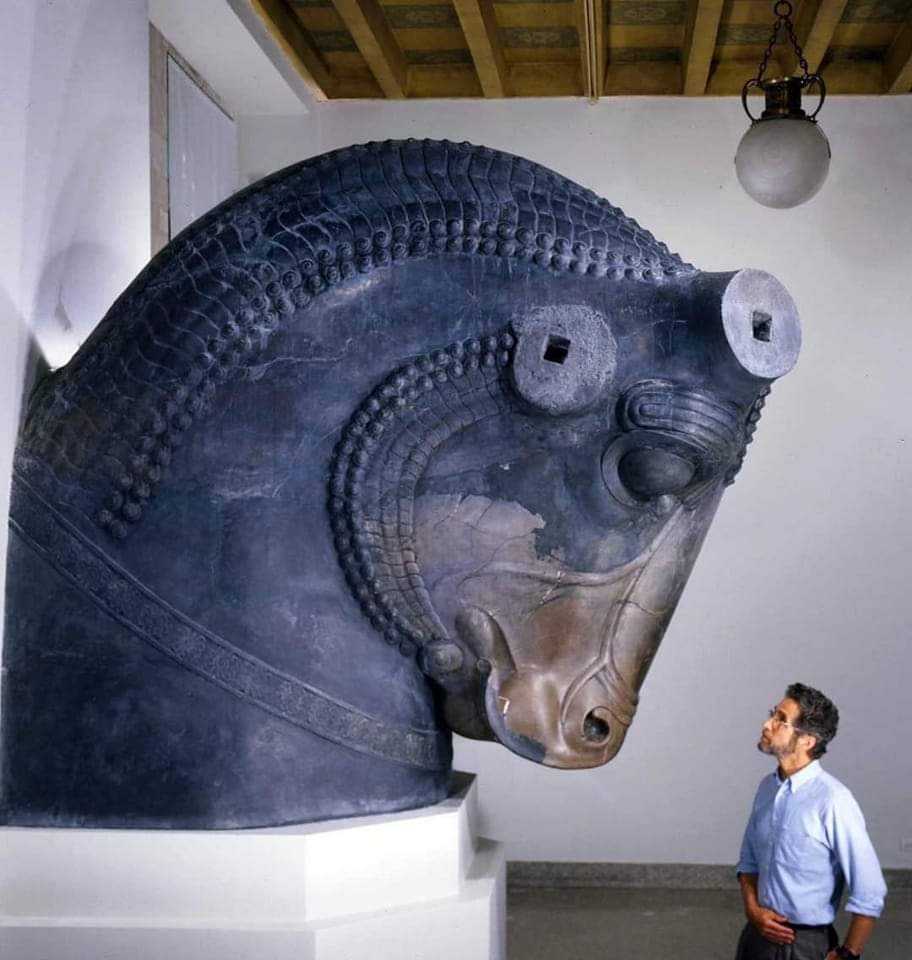 Achaemenid Capital; in the shape of a Bull from Persian audience Hall of King Darius (518-460 BC).

Oriental Institute Museum, Chicago

#archaeohistories