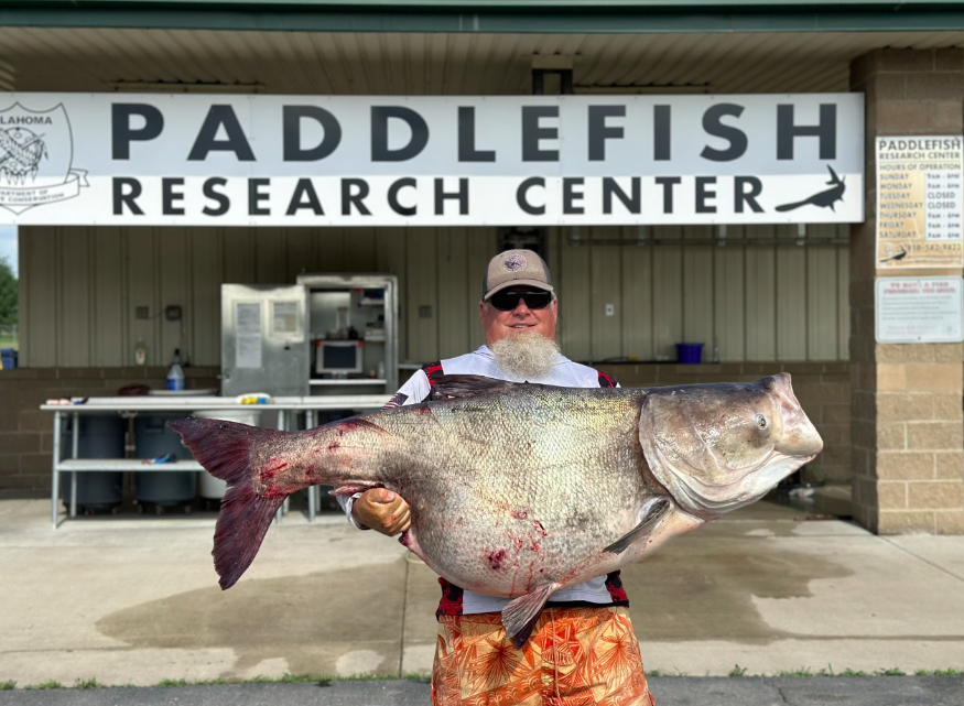 OKWildlifeDept's tweet image. Our Oklahomie, Bryan Baker, caught this HUGE invasive bighead carp from Grand Lake that weighed a whole 118 pounds and 3 ounces. CAN YOU BELIEVE THE SIZE OF THIS THING?!?!?!?!