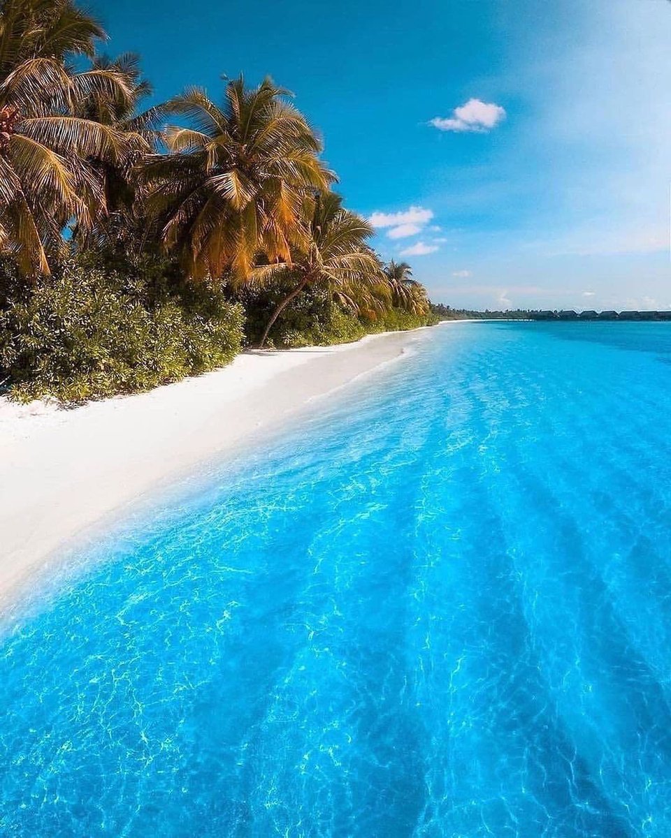 Vickcantmiss's tweet photo. Need to escape here https://t.co/NjpOBAdDQd