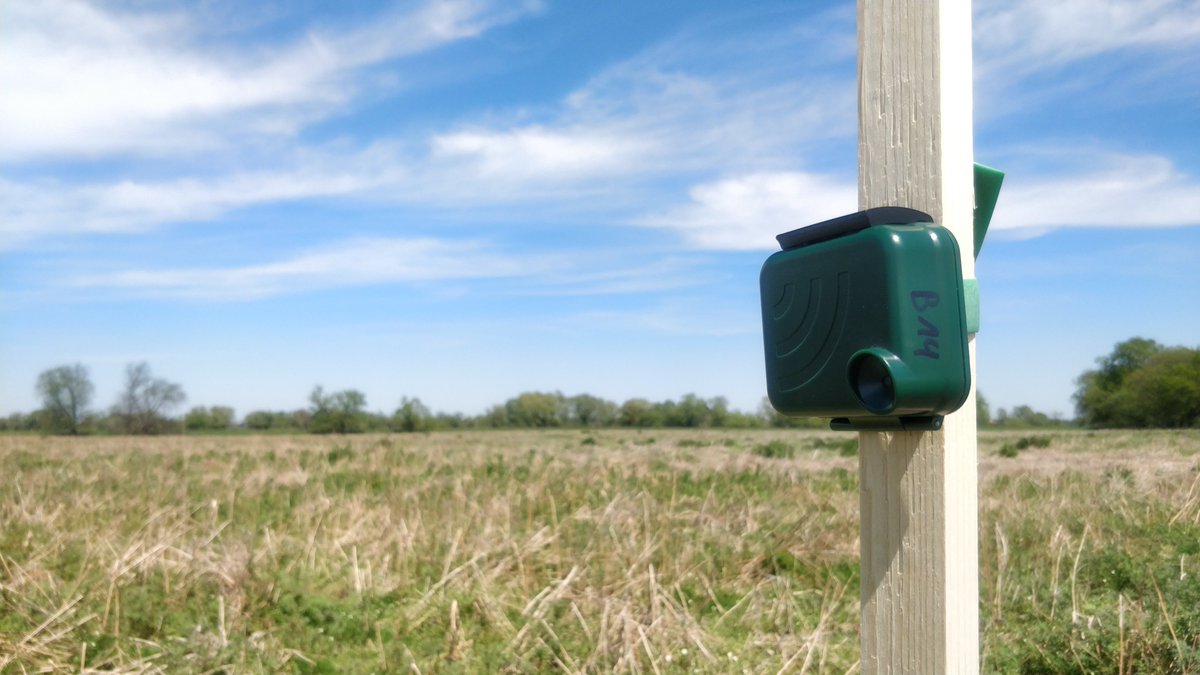 Computational Landscape Ecology tweet media