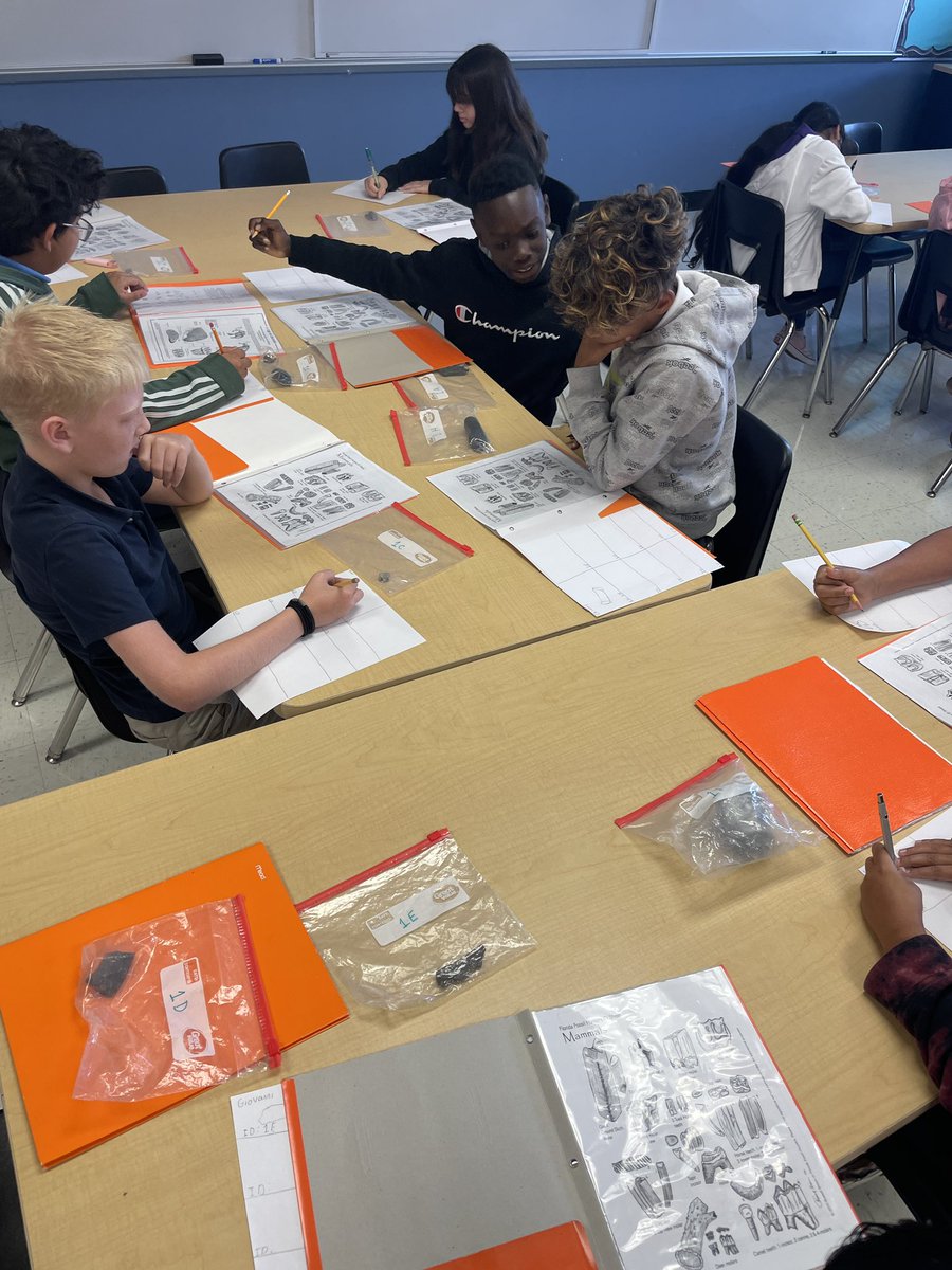 It’s fossil day <a href="/MDE_Stars/">MDE_Stars</a> <a href="/CollierScience/">Collier Science Dept</a> 🔬🥼