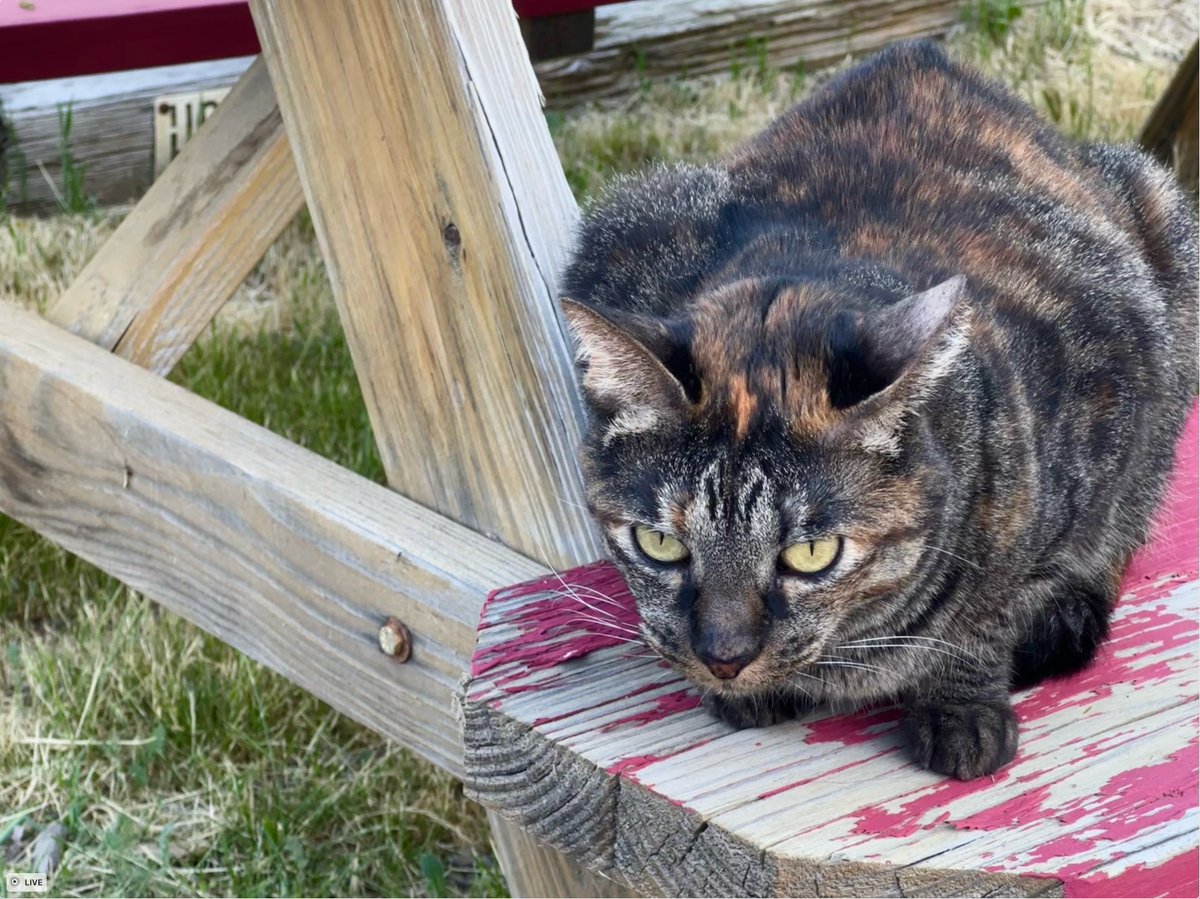 Andrew Smith tweet media