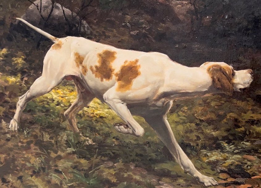 AKC Museum of the Dog (@akcmod) on Twitter photo Did you know the dog featured in the <a href="/WKCDOGS/">Westminster Kennel Club</a> ’s logo was a real dog? His name was Sensation and he came from England as a foundation stud in 1876. See him in The Haunt of the Woodcock: Sensation and Bang Bang by John Martin Tracy c.1886 at the AKC MoD! Did you know the dog featured in the <a href="/WKCDOGS/">Westminster Kennel Club</a> ’s logo was a real dog? His name was Sensation and he came from England as a foundation stud in 1876. See him in The Haunt of the Woodcock: Sensation and Bang Bang by John Martin Tracy c.1886 at the AKC MoD!
