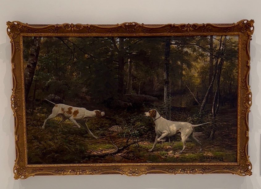 AKC Museum of the Dog tweet media