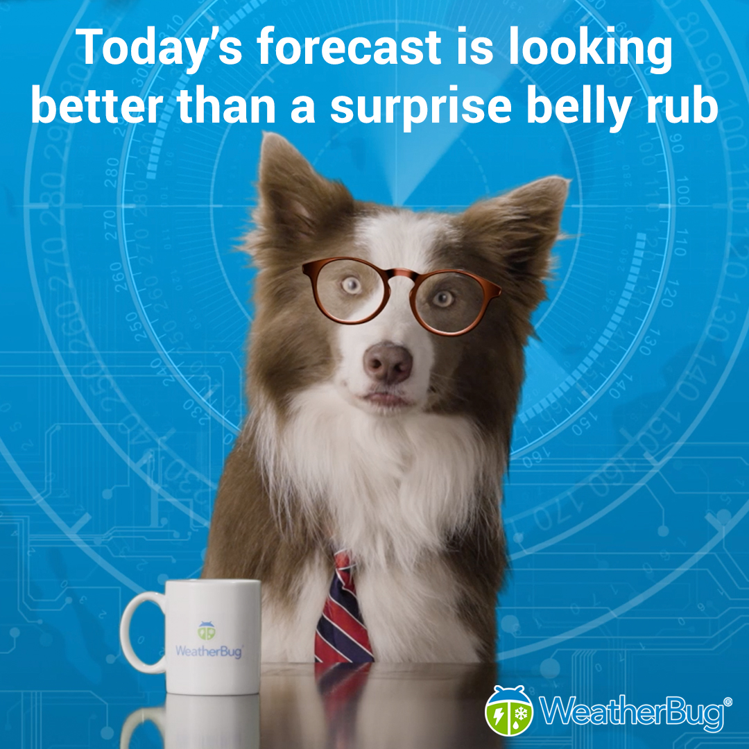 WeatherBug's tweet photo. Happy Monday! We hope the weather is not looking ruff today for you and your pup! ☀️ 🐶
#WeatherPUG #knowbefore #dog #weather https://t.co/xUh74u8VRd