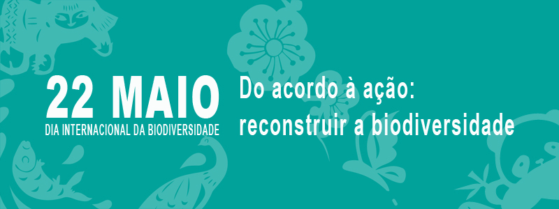 2023: O que significa reconstruir o Brasil? - Outras Palavras