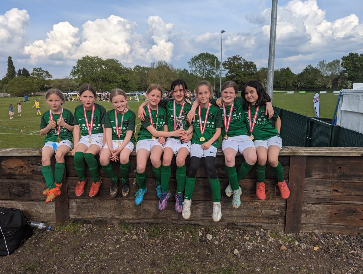 Stonegate Homes tweet media