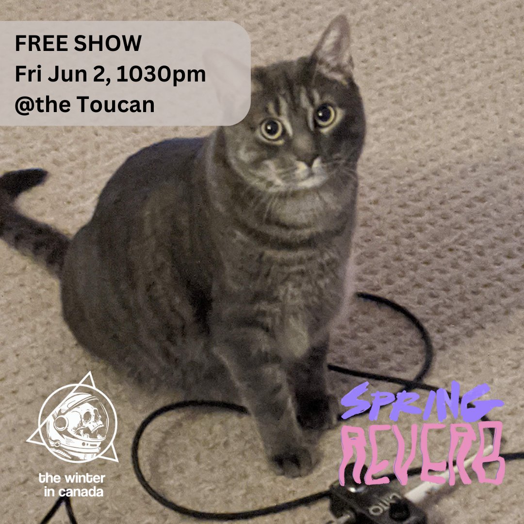 WinterinCanada's tweet image. We're playing @springreverbygk with @recklessandbanded @lusciousband  @toucankingston on Fri June 2 at 1030pm It's a free show, let's fill the toucan! (Bring your cat!!!)

thx @kppconcerts you guys are the best! 

kppconcerts.com/springreverb

#kpp #kingston
#kppconcerts #ygk