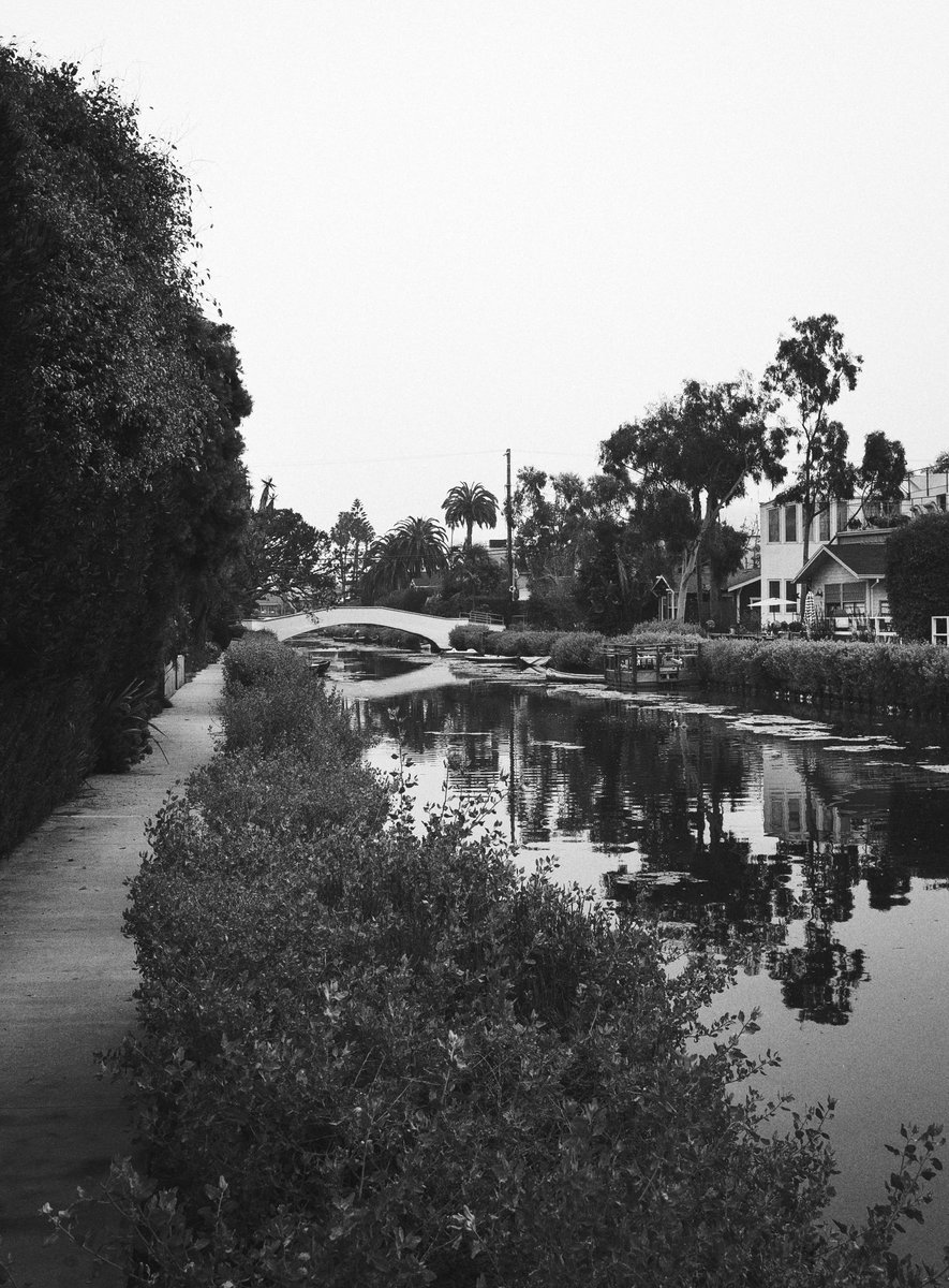 domiesann's tweet photo. Venice Canal

#Monochrome #momo #landscape #blackandwhite #photograghy #leica #leicam8 #28mm #la #venice #California #picoftheday #REFLECTION #bnw #canal https://t.co/2Fjcyqdi2T