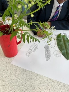AvantifieldsArt's tweet photo. Art club ... today we went outside and collected local flora from our school site to draw and paint whilst listening to some calming classical music. A lovely way to spend our lunchtime @AvantiFields #art #lunchtime #draw #create #ourschool #leicester https://t.co/RUFv8caZHC