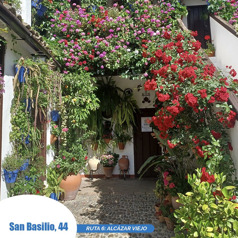 EspanaEnLatam's tweet photo. Ha terminado el #FestivalDeLosPatiosCordobeses, que ha alegrado #Córdoba con preciosas flores y decoraciones. 🌷🌼💐

🏆 ¡Estos son los patios premiados! 🥳 

¿Cuál ha sido tu favorito? ⬇️

📸 fiestapatios

👉 https://t.co/PenJxkIOfE

#VisitSpain #SpainTraditions @viveandalucia https://t.co/7sA0qVIkP9