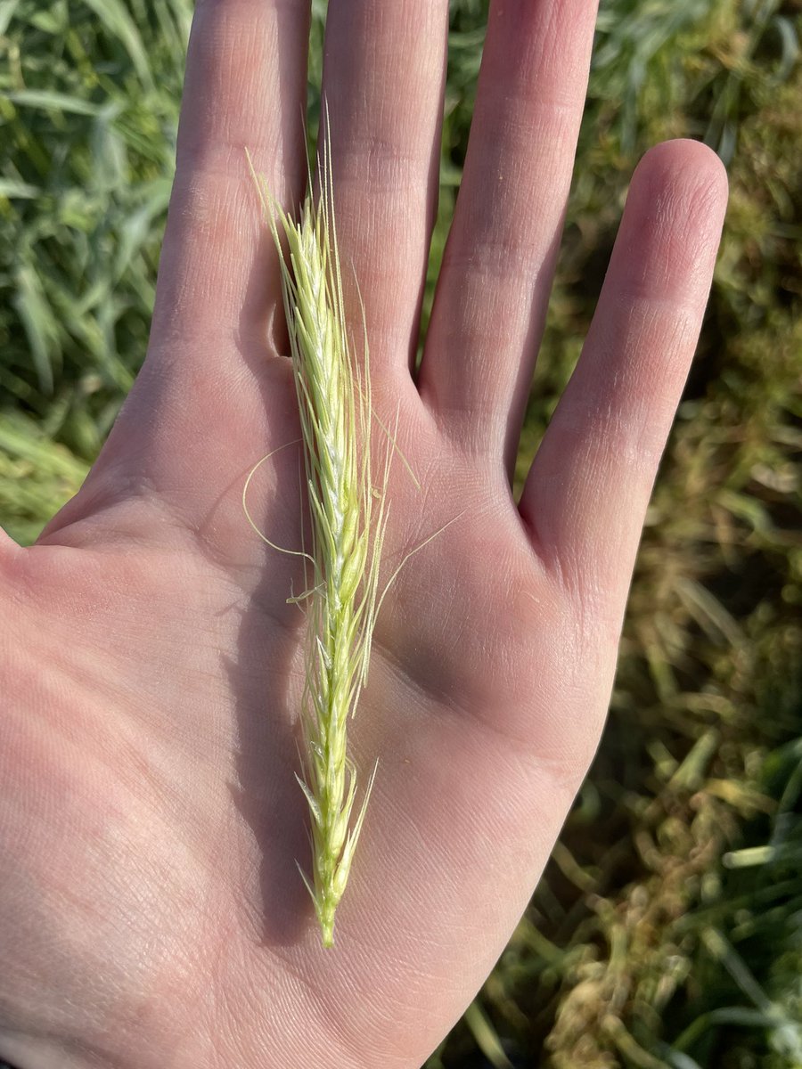 Michelle Durnin tweet media