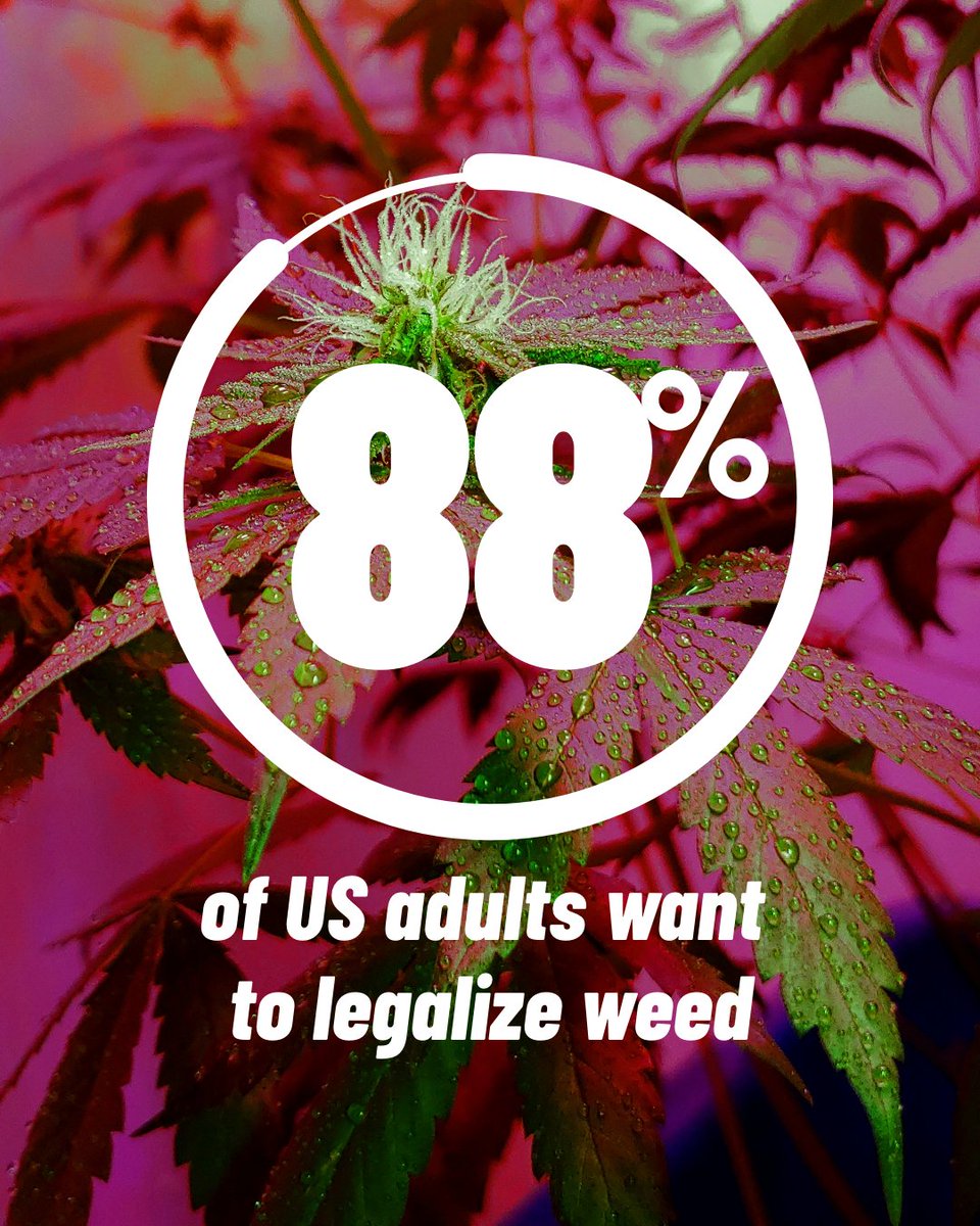 LogMyChronic's tweet photo. According to Flowhub's Cannabis industry statistics for 2023, 88% of US adults want to legalize weed.⁠
⁠
#flowhub #industrystats #legalizeit⁠
⁠
source:⁠
https://t.co/YgJtv0KD0p https://t.co/DgHSAMhUnf