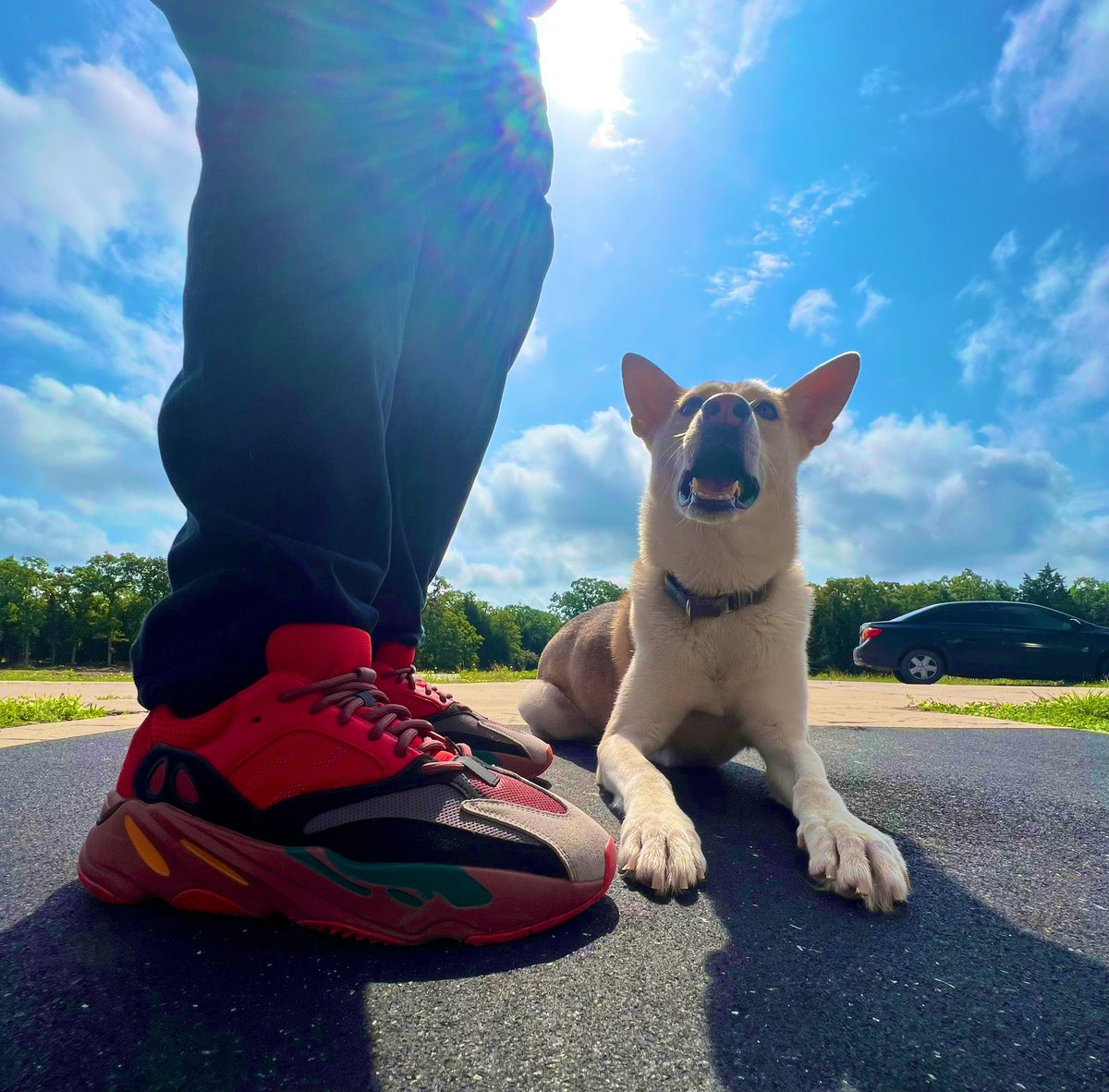 danthedogman_'s tweet photo. Alright y’all dog of the day is back! 

Dog the day: Lumi 
Husky Mix

Kicks of the day: Yeezy Boost 700
“Hi-Res Red”

#KOTD #Sneakerhead #Yoursneakersaredope #sneakersaddict #snkrsliveheatingup #snkrs #huskies #dogtraining #dogtrainer https://t.co/GDnKNm3rM9
