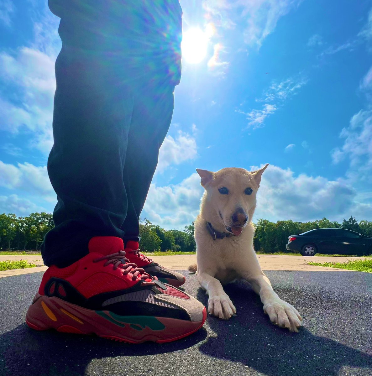 danthedogman_'s tweet photo. Alright y’all dog of the day is back! 

Dog the day: Lumi 
Husky Mix

Kicks of the day: Yeezy Boost 700
“Hi-Res Red”

#KOTD #Sneakerhead #Yoursneakersaredope #sneakersaddict #snkrsliveheatingup #snkrs #huskies #dogtraining #dogtrainer https://t.co/GDnKNm3rM9
