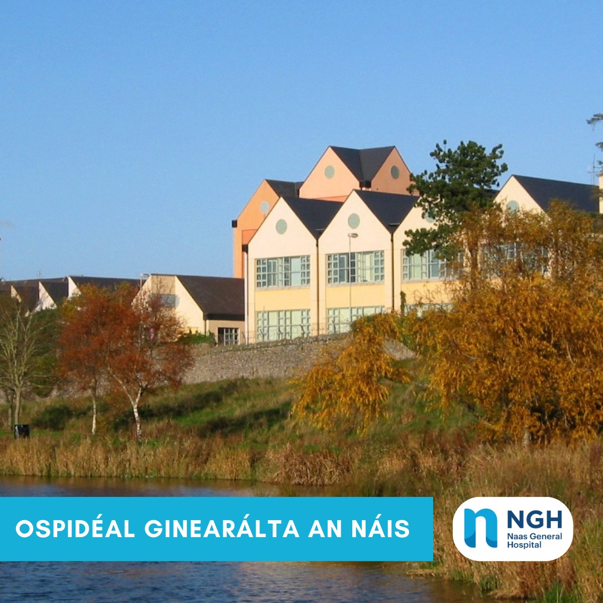 Tá réimse post á thairiscint ag Ospidéal Ginearálta an Náis. 

Tuilleadh eolais ar rezoomo.com/company/naas-g…