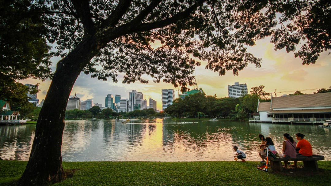 MichaelTChew's tweet photo. #ecoimagine #photography #photooftheday #explorepage #explore #fyp #newpost #fypage #capture #Thailand #Bangkok #lake #thailandinstagram #thailandtravel #thailandtrip #Thailandfantastic #bangkokcity #bangkoktravel #nature #mothernature #lakeside #lakeview https://t.co/wMGseAGJIi