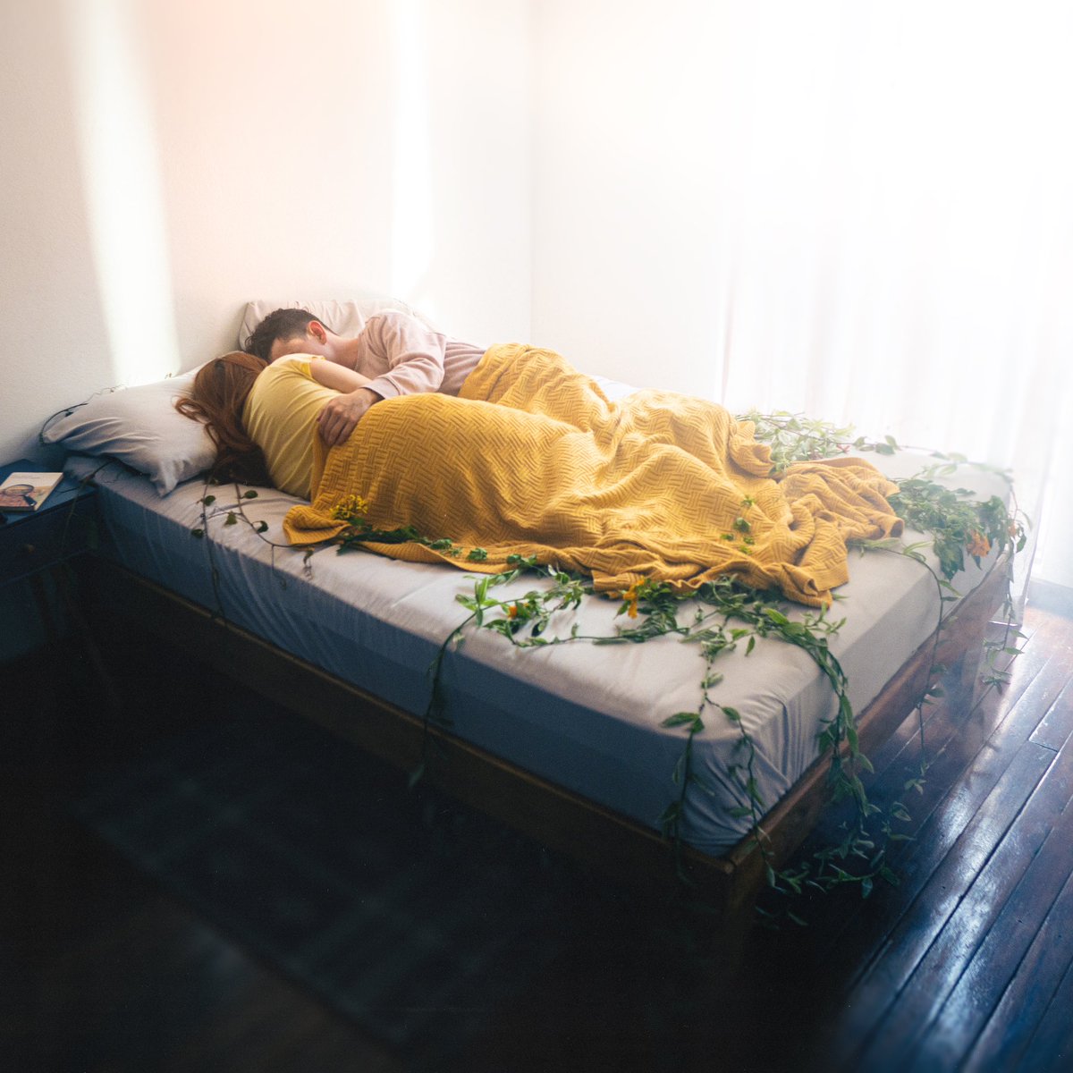 A 4 días de que salga mi nueva canción, les comparto la portada ✨